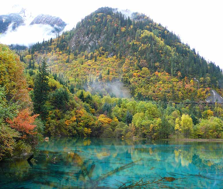 Five Flower Lake, Kina